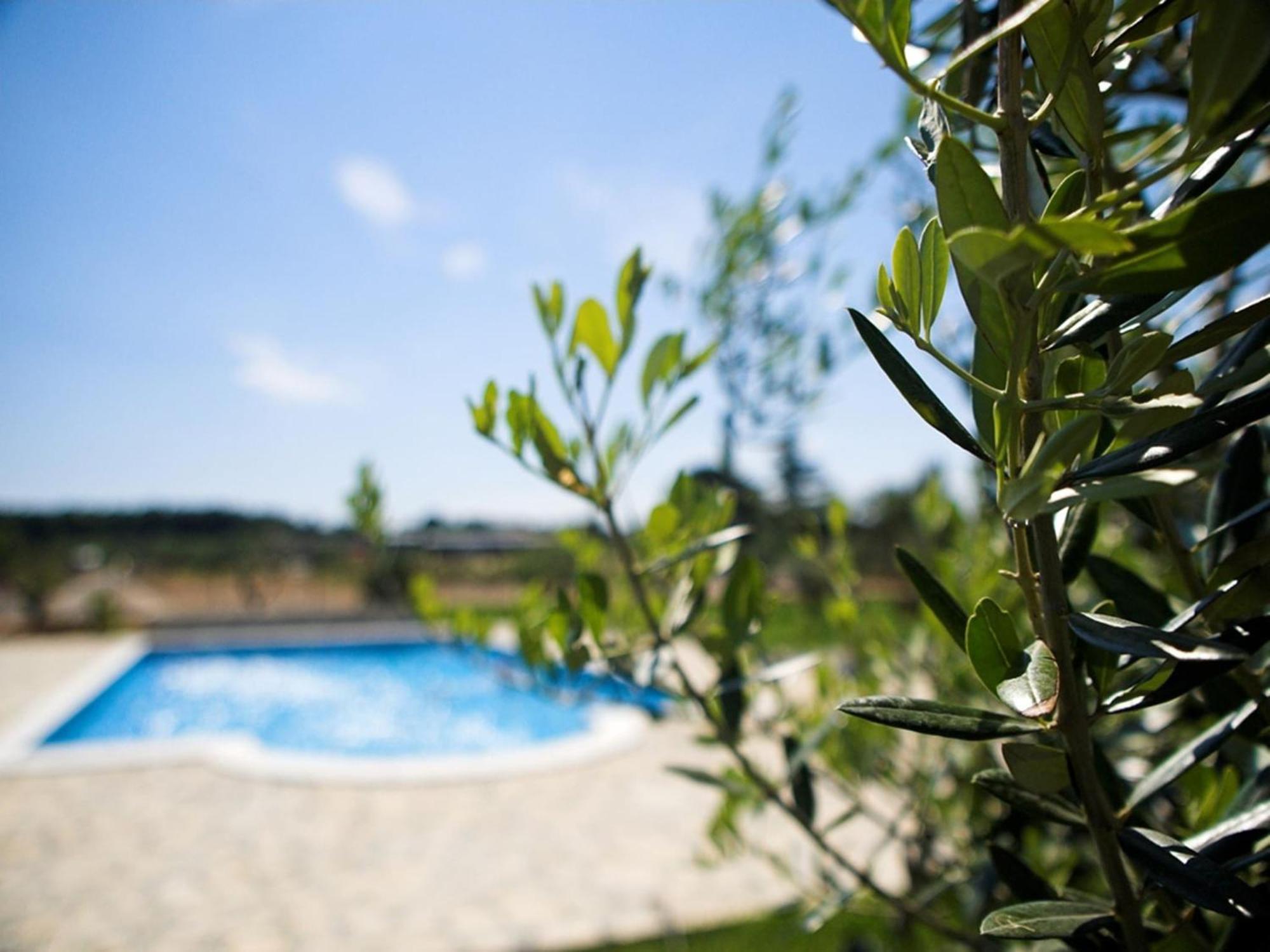 Marceta - Apartments & Rooms With Swimming Pool Fažana Εξωτερικό φωτογραφία